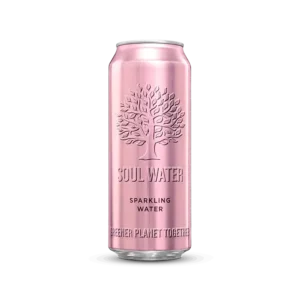 sparkling water can product - 500ml