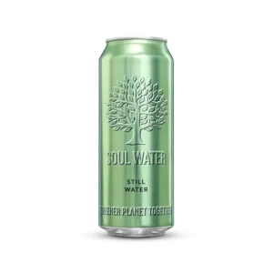 still water can product - 500ml